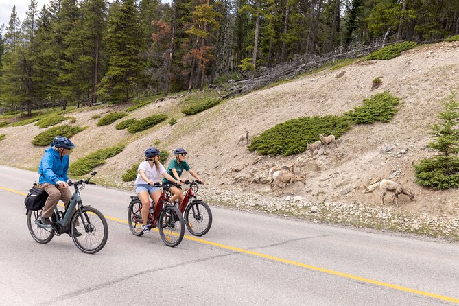 Banff Mountain Lakeside - E-bike Tour - Key highlights to know before you go
