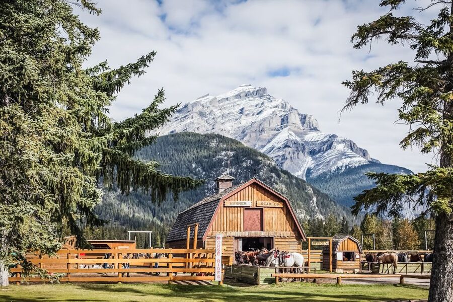 Banff National Park: 1-Hour Bow River Horseback Ride - Entering the Banff Trail Riders stables: from parking to helmet