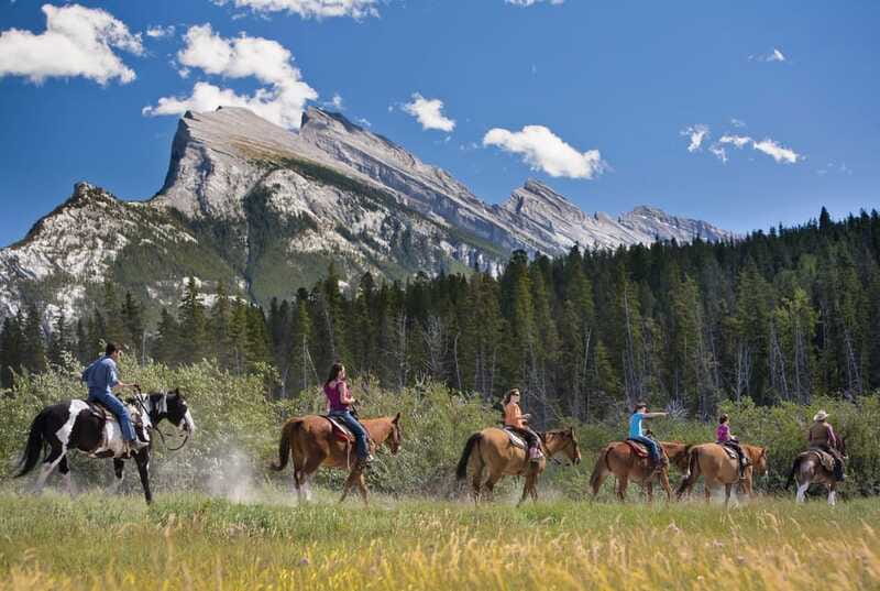 Banff National Park: 2-Hour Sundance Loop Horseback Ride - Wildlife and plants: how the guide turns sightings into stories