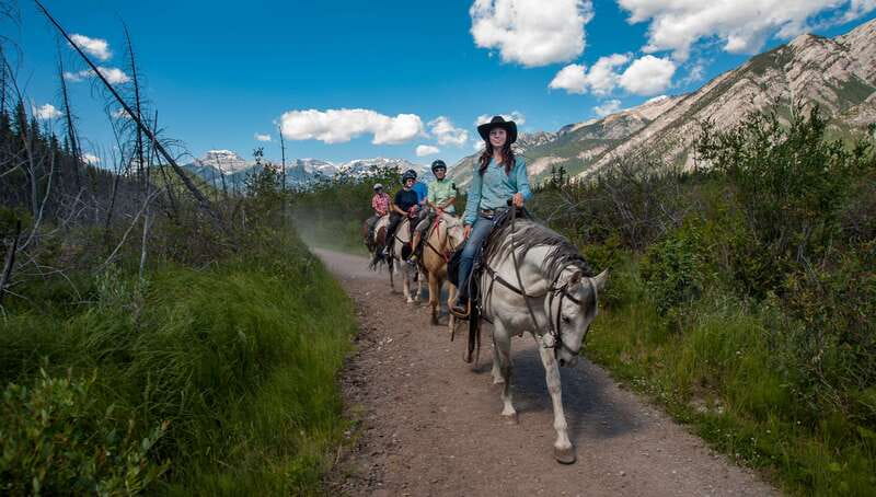 Banff National Park: 2-Hour Sundance Loop Horseback Ride - Getting started at Warner Stables (and why arriving early helps)