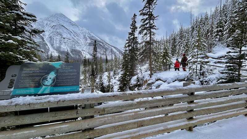 Banff National Park: Canyons, Lakes & Local Favourites - Banff Town free time: wander, snack, and reset your pace