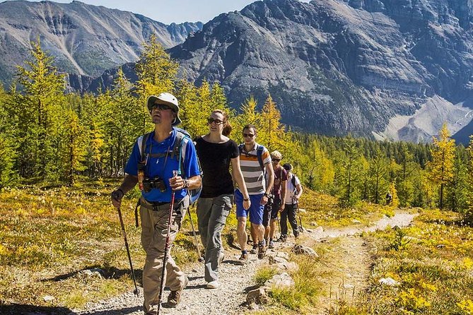 Banff National Park Guided Hike with Lunch - Moraine Lake in the Morning: Why Stop 1 Matters