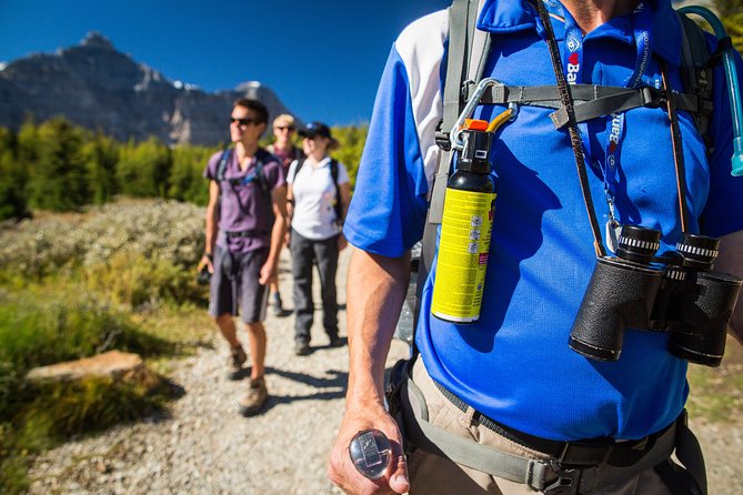 Banff National Park Guided Hike with Lunch - Consolation Lakes (Tuesday): Easy Trail to a Scenic Anchor