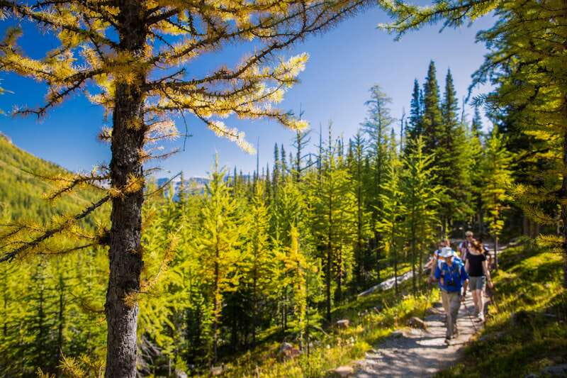 Banff National Park: Guided Signature Hikes with Lunch - Key Things That Make This Banff Guided Hike Worth Your Time