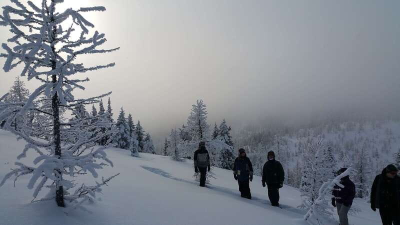 Banff National Park: Sunshine Meadows Snowshoeing Experience - Key highlights worth your attention