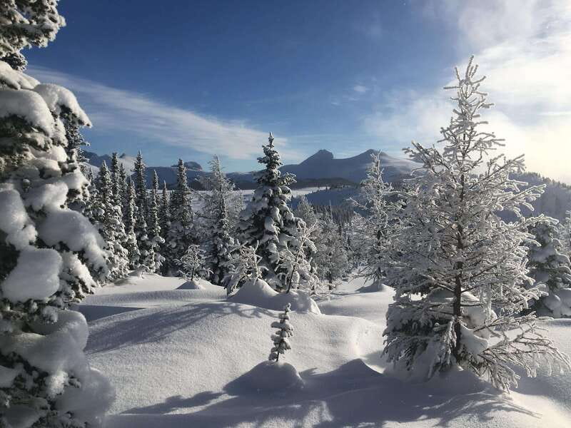 Banff National Park: Sunshine Meadows Snowshoeing Experience - How guides help you handle Banff weather (including near whiteouts)