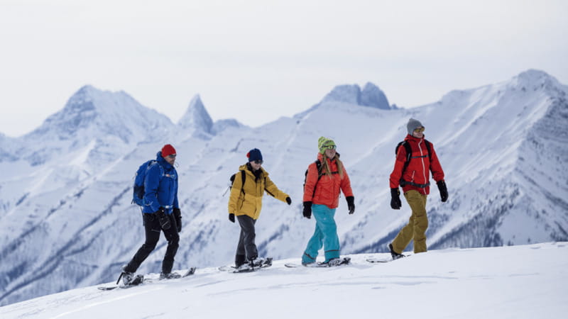 Banff National Park: Sunshine Meadows Snowshoeing Experience - Price and value: is $102 fair for a Banff winter snowshoe day?