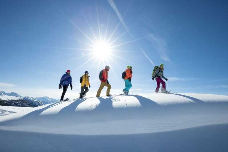 Banff National Park: Sunshine Meadows Snowshoeing Experience - Timing, duration, and what the day feels like