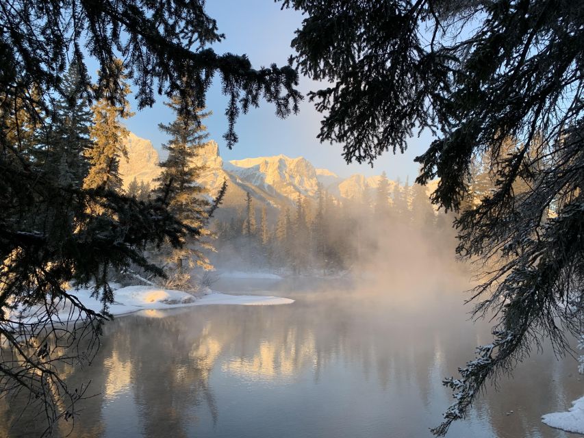 Banff PRIVATE Guided Nature Walk + Transportation - 2.5H - Who this private walk is best for