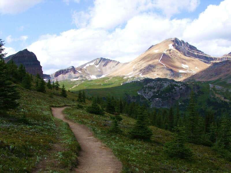 Banff PRIVATE Guided Nature Walk + Transportation - 2.5H - Rain or shine: how that affects your experience