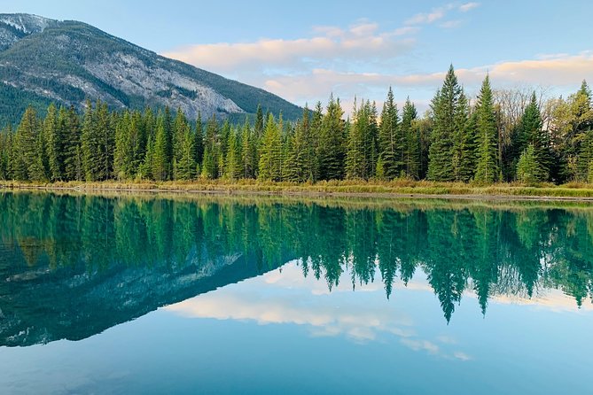 Banff to Calgary Private Shuttle - Timing Tips: How to Plan Around No Restroom on Board