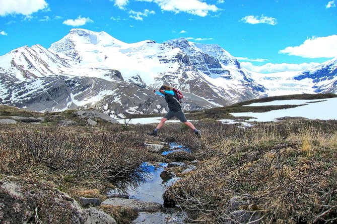 Banff to Jasper One-Way Tour - Lunch and Timing: Eating Well So the Late Afternoon Doesn’t Drag