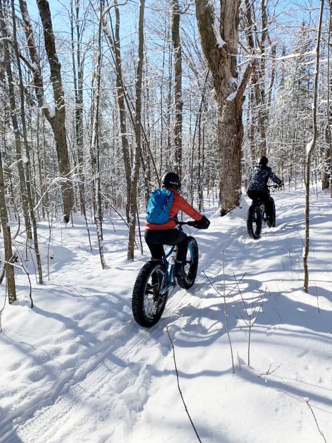 Banff Top Sights via Electric Fat Bike Tour All Skill Levels - Banff on Fat Tires: Why This 2-Hour Ride Works