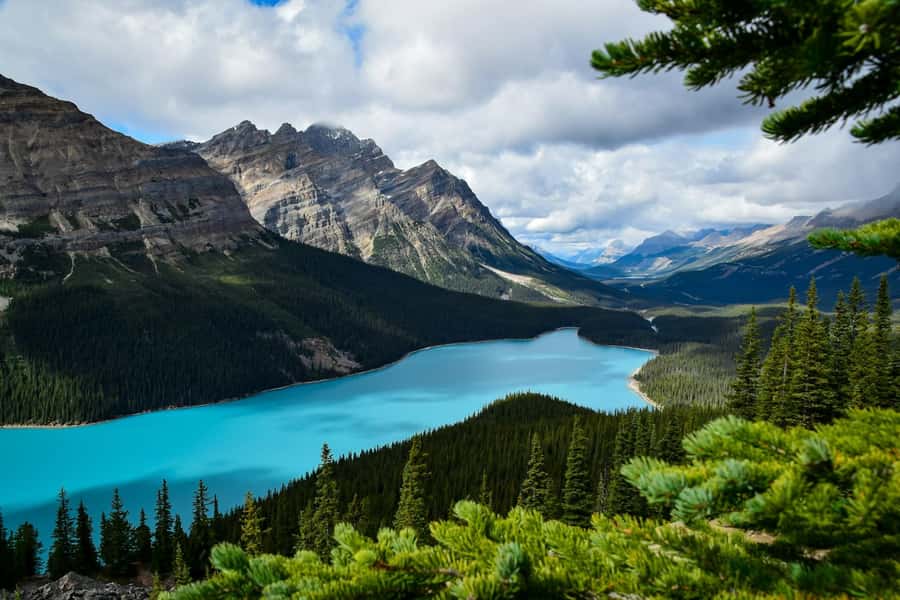Banff Town: Lake Louise Moraine, Glacier, Peyto & Bow Lake - Key Things That Make This Tour Worth It