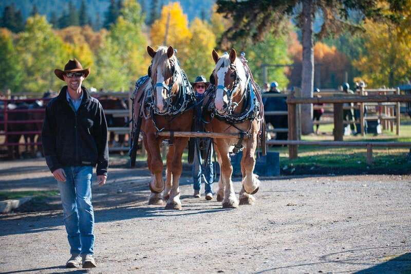 Banff: Wagon Ride with Cowboy Cookout BBQ - Warner Stables: the wagon-ride start that feels like a day out