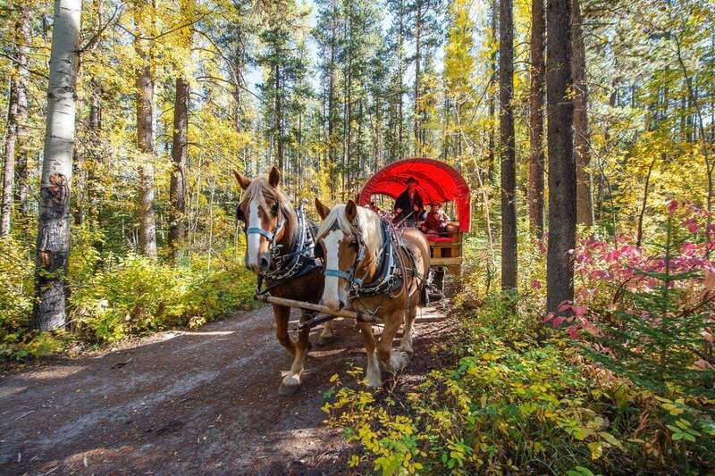 Banff: Wagon Ride with Cowboy Cookout BBQ - Sulphur Mountain Trail return: Windy Knoll views without the hike