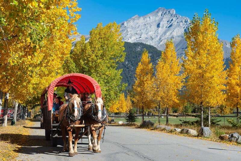 Banff: Wagon Ride with Cowboy Cookout BBQ - Bow River hour: Cave and Basin to 3 Mile Cabin at horse pace