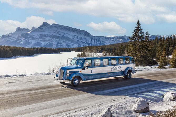Banff Winter Tour Featuring Mountaintop Dinner and Banff Gondola - A 6-hour winter loop that mixes lakes, viewpoints, and the gondola