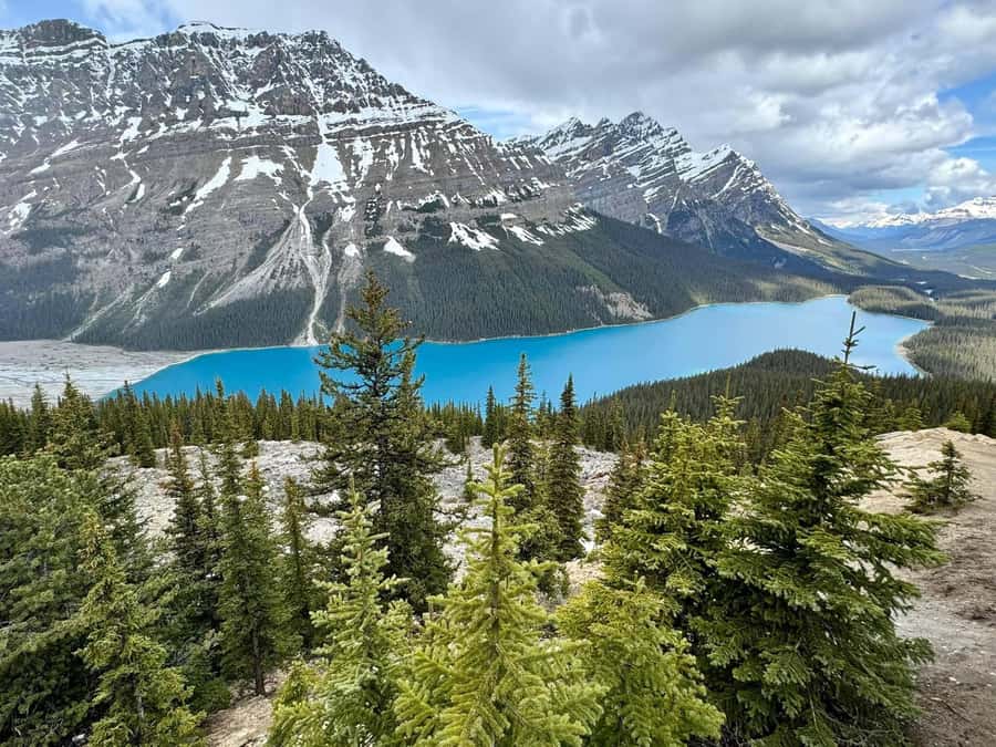 Calgary Banff: Columbia Icefield, Skywalk and Lakes Day Tour - Key highlights you’ll actually feel