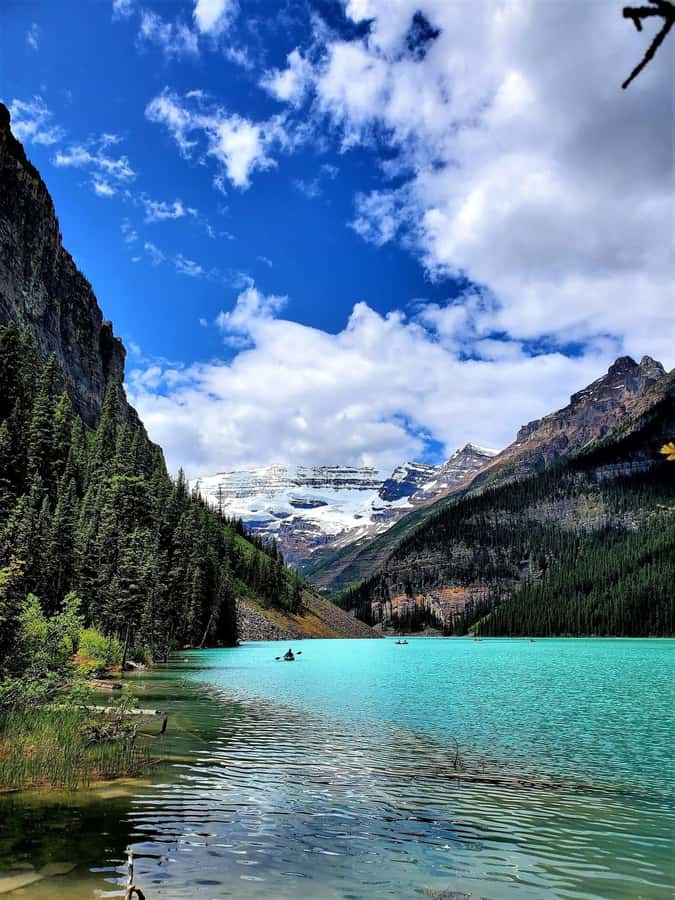 Calgary/Banff: Icefields Parkway & Columbia Icefield Tour - Time on the Bus vs. Time at the Views