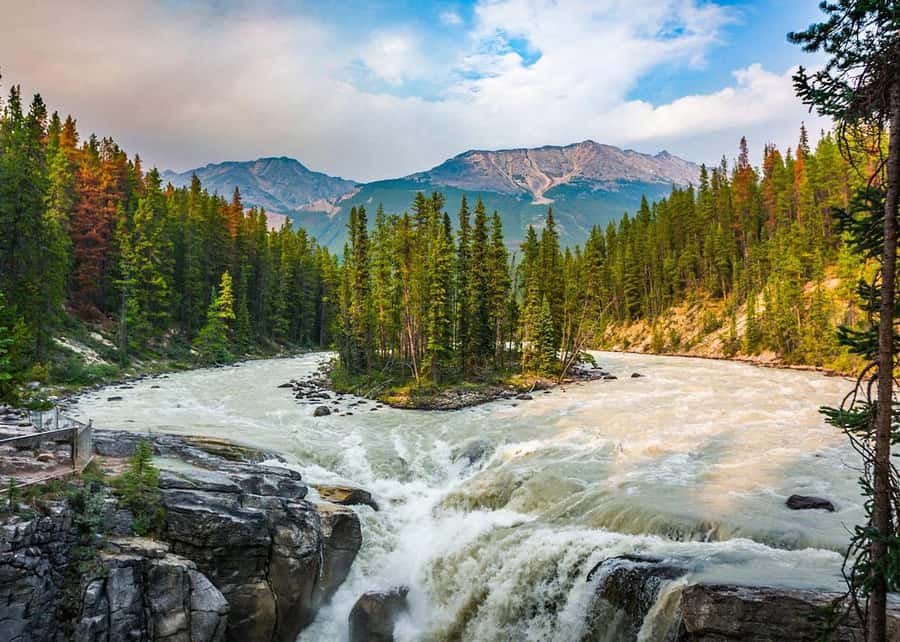 Calgary: Day Trip to Jasper with Lunch - Athabasca Glacier Short Hike: ice views without the multi-day commitment