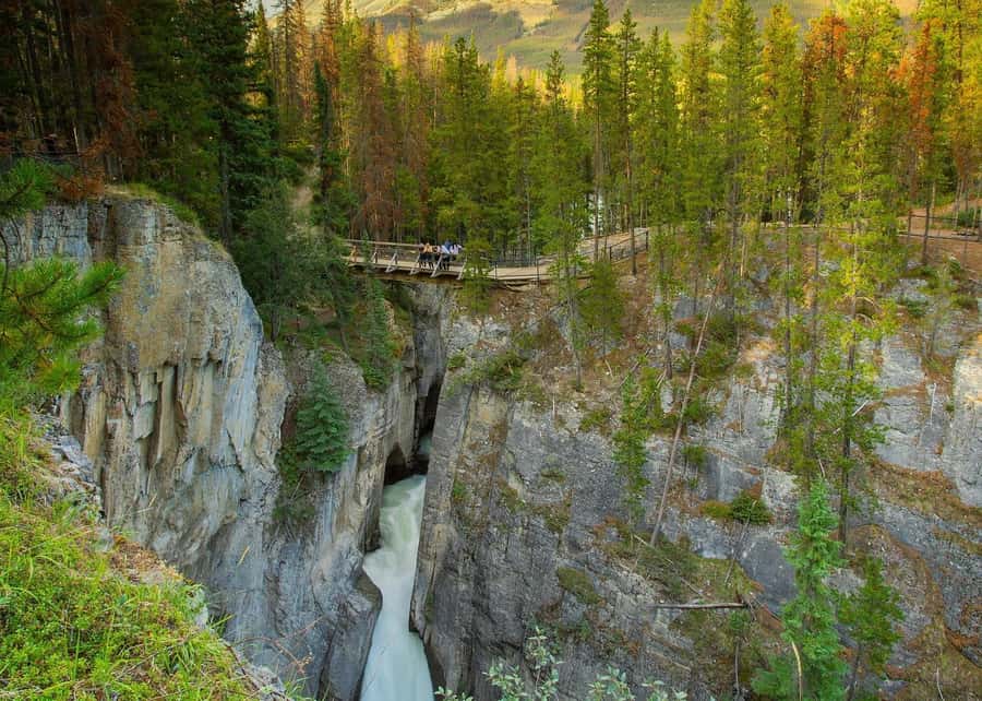 Calgary: Day Trip to Jasper with Lunch - Sunwapta Falls and Tangle Creek Falls: power plus short walks