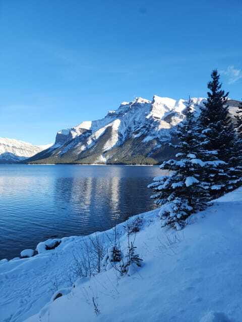 Canmore/Banff: Explore Banff & Wildlife - Who This Tour Fits Best