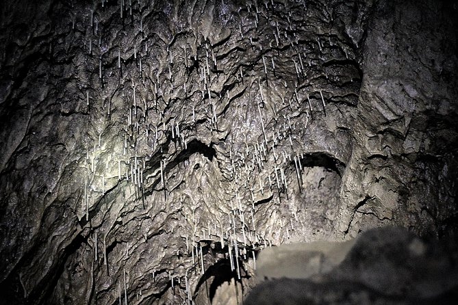 Canmore Caving Explorer Tour - What you get for the price: $111.90 and where the value shows up