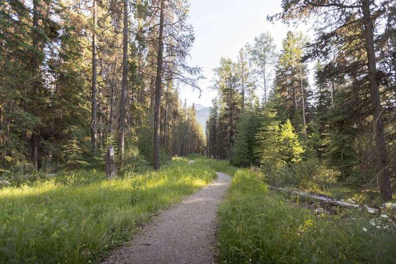 Canmore: LOST TOWNS and Untold Stories - Hiking Tour 3hrs - Should you book LOST TOWNS and Untold Stories in Canmore?