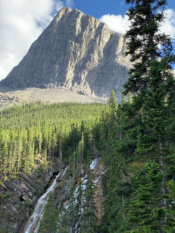 Canmore: PRIVATE SAFARI Drive to BANFF Park & Nature Walk - Who should book this Canmore to Banff private safari