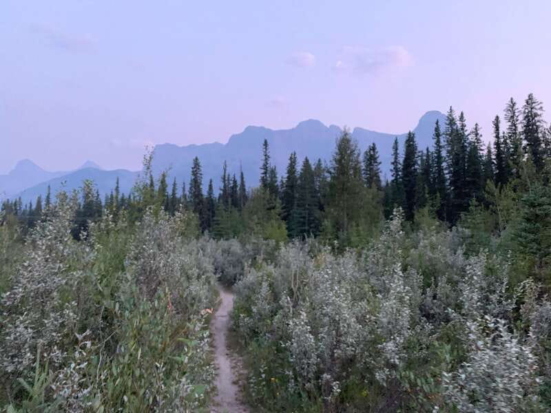 Canmore: PRIVATE SAFARI Drive to BANFF Park & Nature Walk - Photo opportunities: making your camera work when animals show up fast