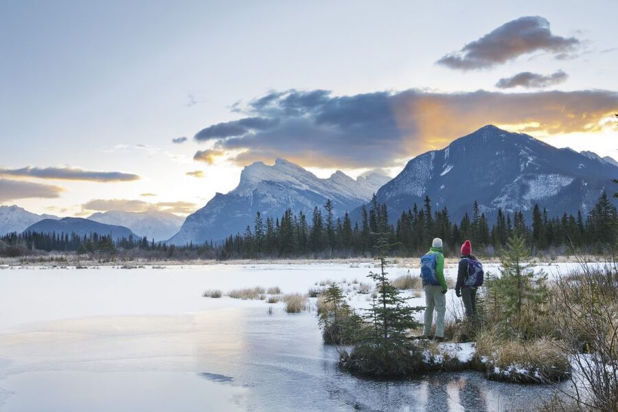 Canmore: PRIVATE SAFARI Drive to BANFF Park & Nature Walk - Price and value: $438 per group up to 4 people
