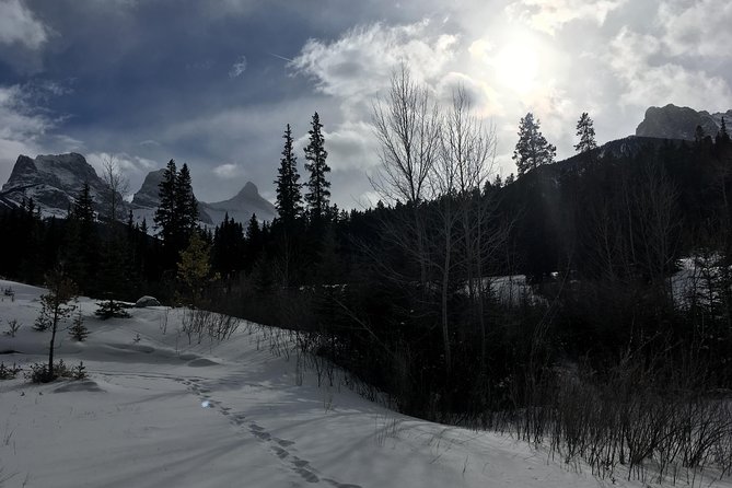 Canmore: Stargazing and Nature by Nightfall Walking Tour - 2hr - Stargazing that actually works: dark skies and real viewing time