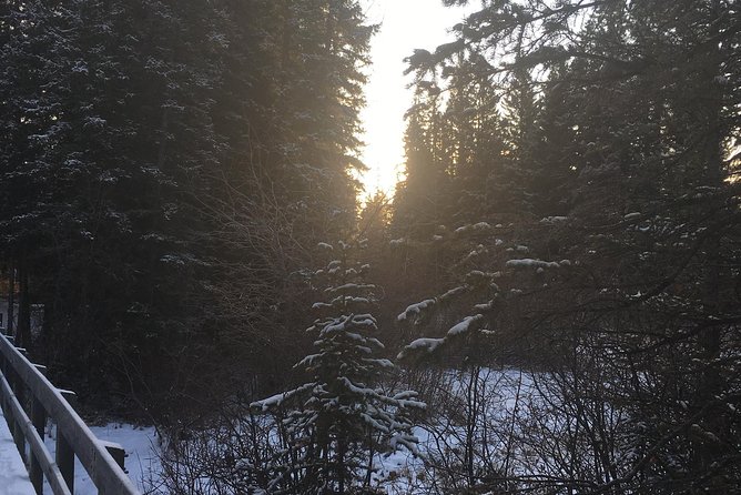 Canmore: Stargazing and Nature by Nightfall Walking Tour - 2hr - Wildlife, culture, and history: why the walk is more than scenery