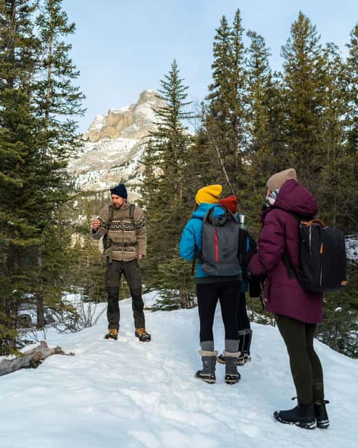Canmore: Stargazing and Night Adventure - The 3.5-mile night walk: how the hike supports the sky viewing