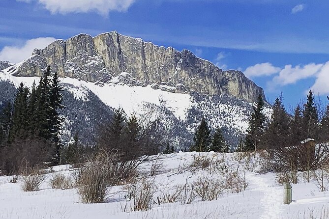 Canmore: Wilderness & Wildlife Tour - 2hr Walk - Walking Through the Rockies: Ecosystem Lessons in an Ancient Forest