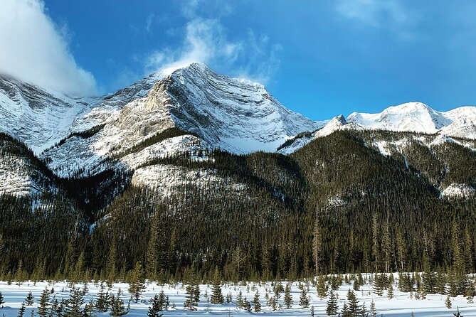 Canmore: Wilderness & Wildlife Tour - 2hr Walk - Price and Value: Is $90.07 Worth It?
