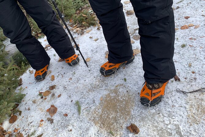 Canmore: Wilderness & Wildlife Tour - 2hr Walk - Who This Tour Fits Best (And Who Might Want Something Else)