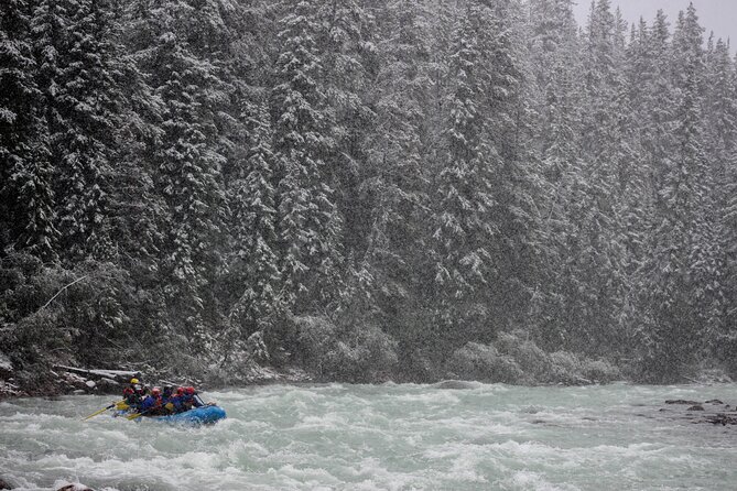 Class 3 Sunwapta River Rafting Adventure in Jasper - What the guides actually do (and why it changes everything)
