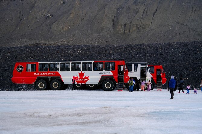 Columbia Icefield Adventure,Bow Lake,Peyto Lake in Banff & Jasper - Key highlights you’ll care about