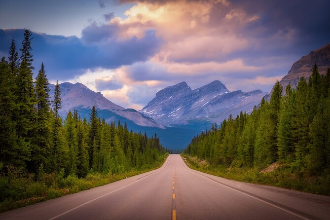 Columbia Icefield Adventure,Bow Lake,Peyto Lake in Banff & Jasper - Bow Lake: turquoise color from glacial till (and 30 minutes that matters)