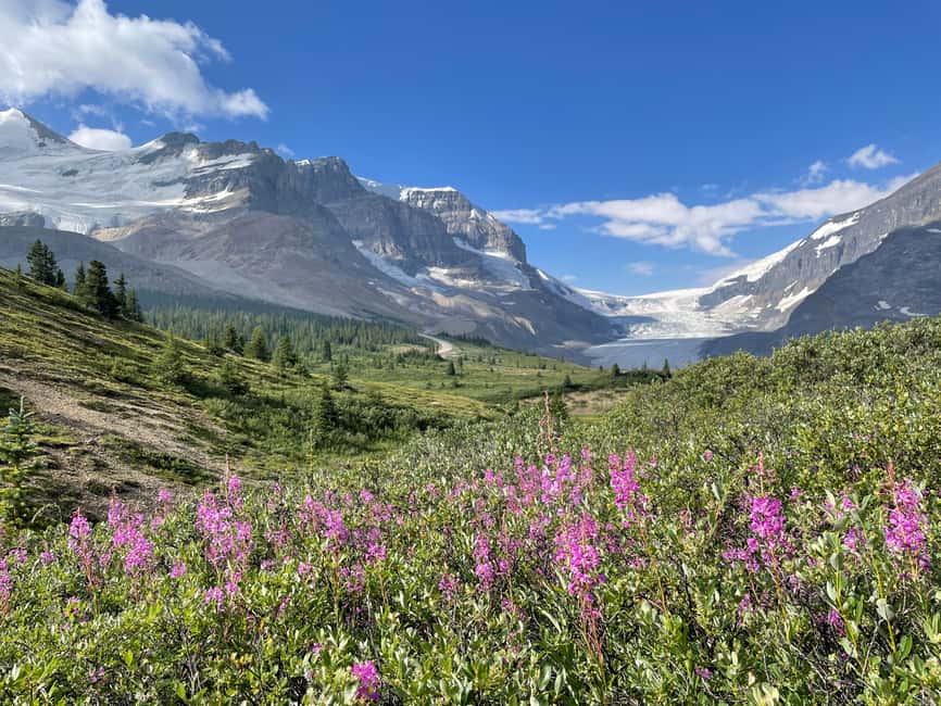 Columbia Icefield: Guided Glacier Hike - Getting Onto the Athabasca Glacier: What You’ll Actually See