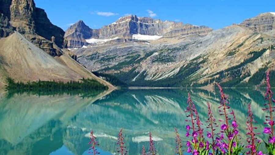 Columbia Icefield, Skywalk, Crowfoot Glacier, and Lakes Tour - Crowfoot Glacier Viewpoint: The High-Elevation Wow Moment