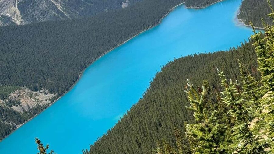 Columbia Icefield, Skywalk, Crowfoot Glacier, and Lakes Tour - Peyto Lake: Why It Looks Like That (And How to Photograph It)