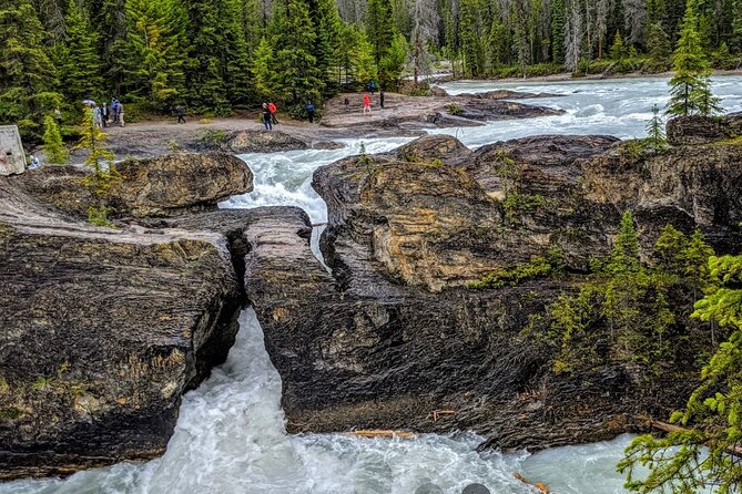 Day Trip: Lake Louise, Moraine Lake, Emerald Lake, Banff - Natural Bridge and the Kicking Horse River Quick Views