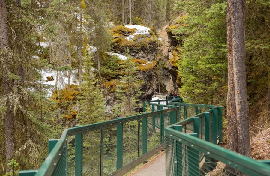 Deep Day Tour to Peyto, Moraine, Louise Lakes, J. Canyon... - Vermilion Lakes viewpoint and the return to Calgary/Banff