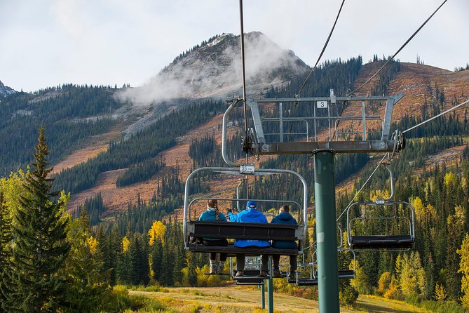 Discover Grizzly Bears from Banff - Kicking Horse Mountain Chairlift: Panoramas Before You Meet Boo