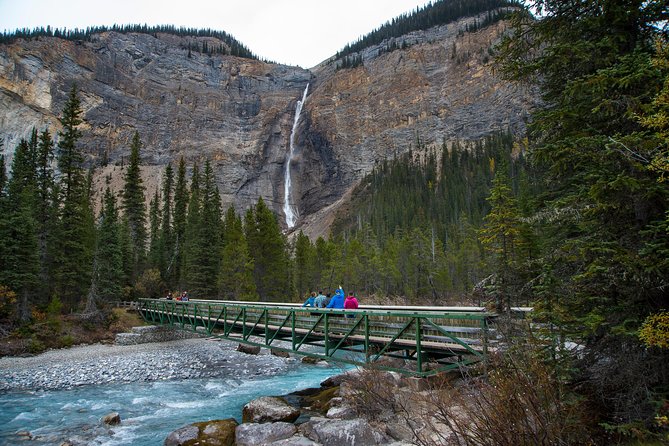 Discover Grizzly Bears from Banff - The Add-Ons: Golden Skybridge and the Gondola Note (Plan Around the Year)