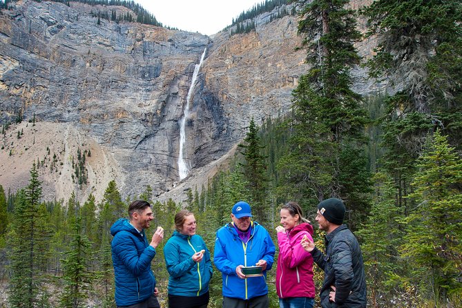 Discover Grizzly Bears from Banff - Weather, Season, and the Reality of Mountain Timing