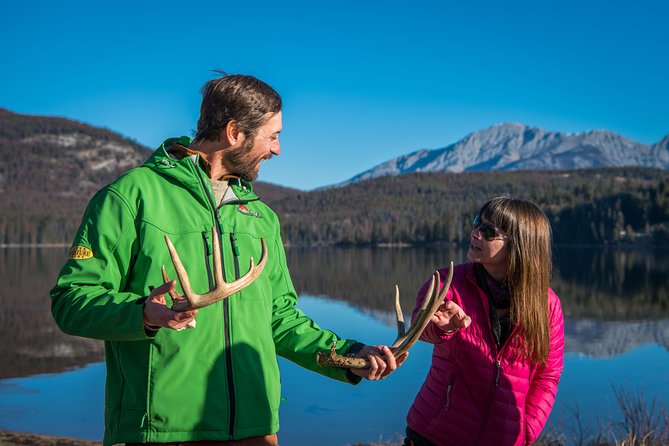 Discover Jasper and its Wildlife - Athabasca Valley scouting: what your guide is really doing